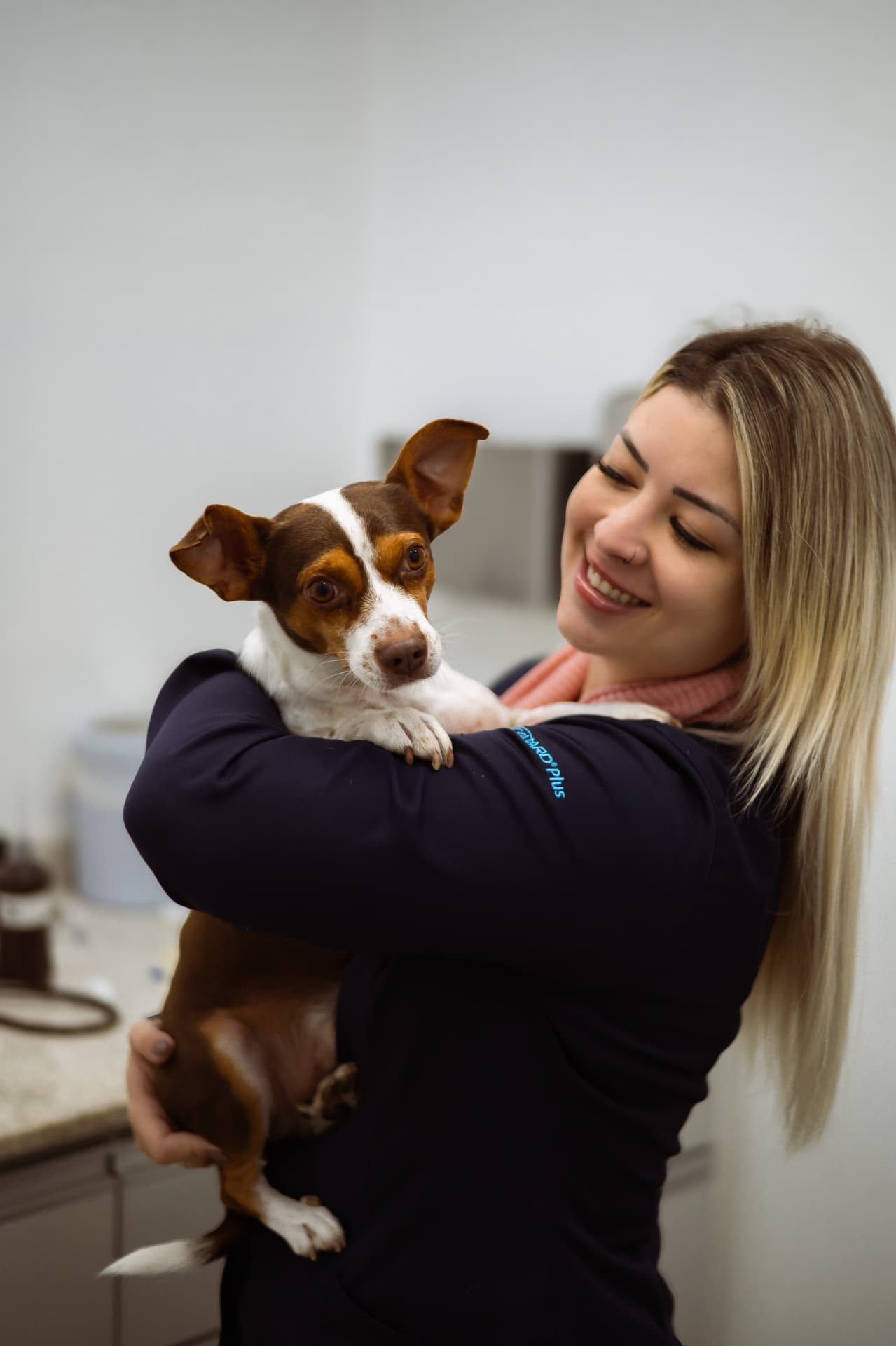Profissional do Hospital Veterinário Amparo segurando um cachorro no atendimento