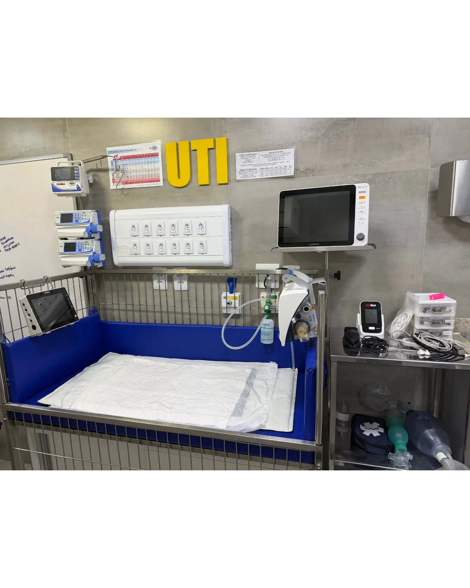 UTI fixa do Hospital Veterinário Amparo com monitor e equipamentos de suporte